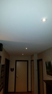 Hal/entree met spanplafond